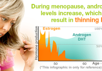 Featured image for Hormone Havoc: Unpacking the Link Between Imbalance and Hair Thinning