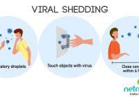 Featured image for Shedding Light on Hair Thinning: Understanding Its Many Causes
