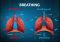 Featured image for Breathing for Better Health: Simple Techniques for Calm and Clarity