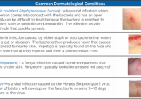 Featured image for Skin Deep: Addressing Common Dermatological Conditions