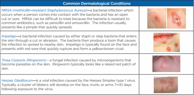 Featured image for Skin Deep: Addressing Common Dermatological Conditions