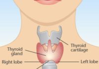 Featured image for Thyroid Troubles: Recognizing Symptoms and Seeking Proper Care