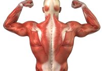 Featured image for Back Pain Breakthrough: Understanding Causes and Finding Relief