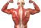 Featured image for Back Pain Breakthrough: Understanding Causes and Finding Relief