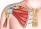Featured image for Shoulder Solutions: Rehabilitating Injuries for Full Range of Motion